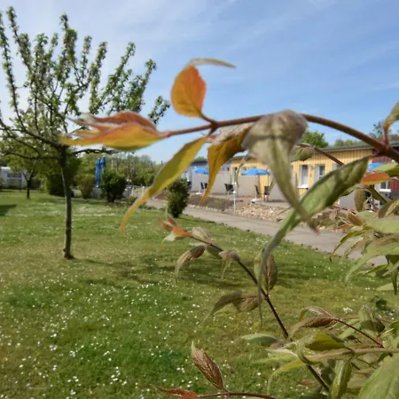 In Wiek Nahe Juliusruh Wiek auf Rügen